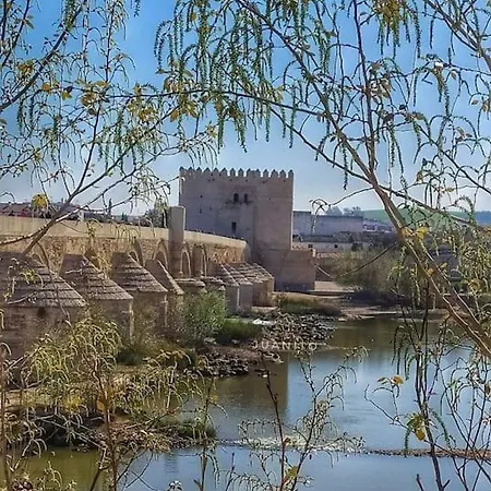 Maripipi Córdoba
